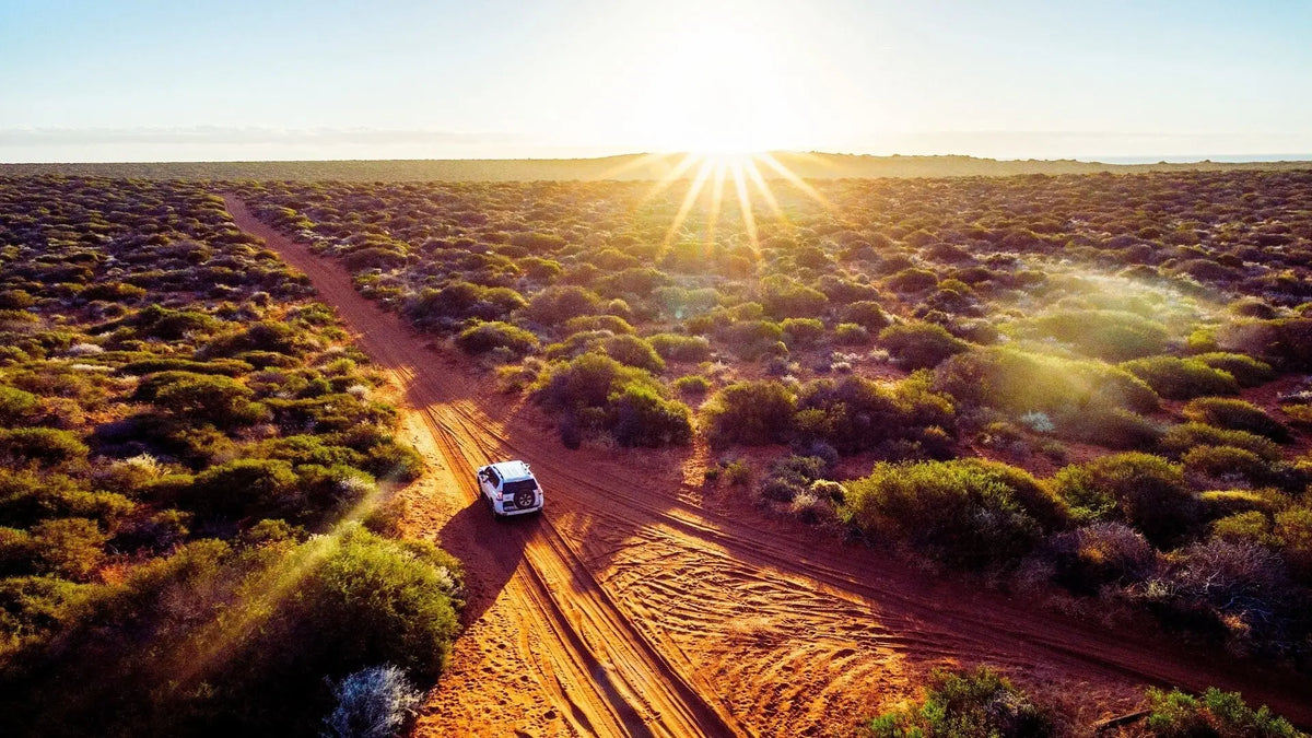 Going Off-Road: How RAM Tablet Mounts Handle the Rigors of Adventure - All Custom Mounts Inc.