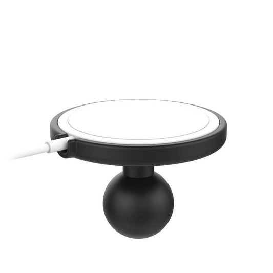 RAP-B-202-AP-MAGU Ram Mounts by Custom Mounts